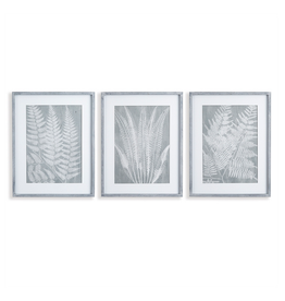 Grey Fern Frond Print L27.75" W21.75" - 3 Assorted