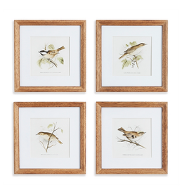 Petite Perching Bird Study Print L12" - 4 Assorted