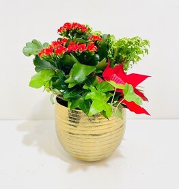 6" Holiday Floral Arrangement in Gold Pot