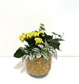 5" Flowering Plant Arrangement in Stoneware Pot