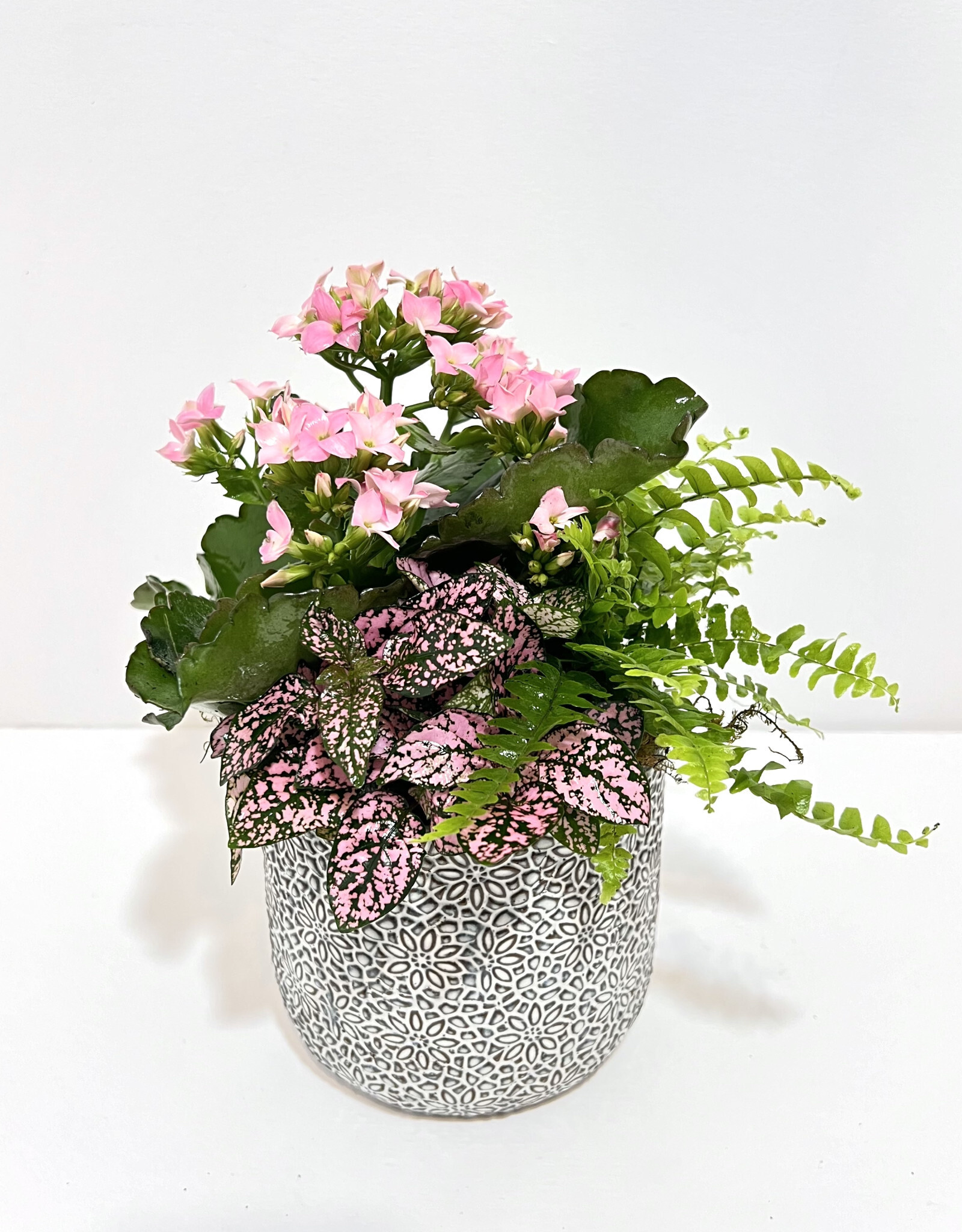 5" Flowering Plant Arrangement in Millie Pot