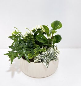 8" Flowering Plant Arrangement in White Beam Bowl