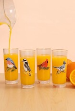 Feathered Friends Bird Juice Glass