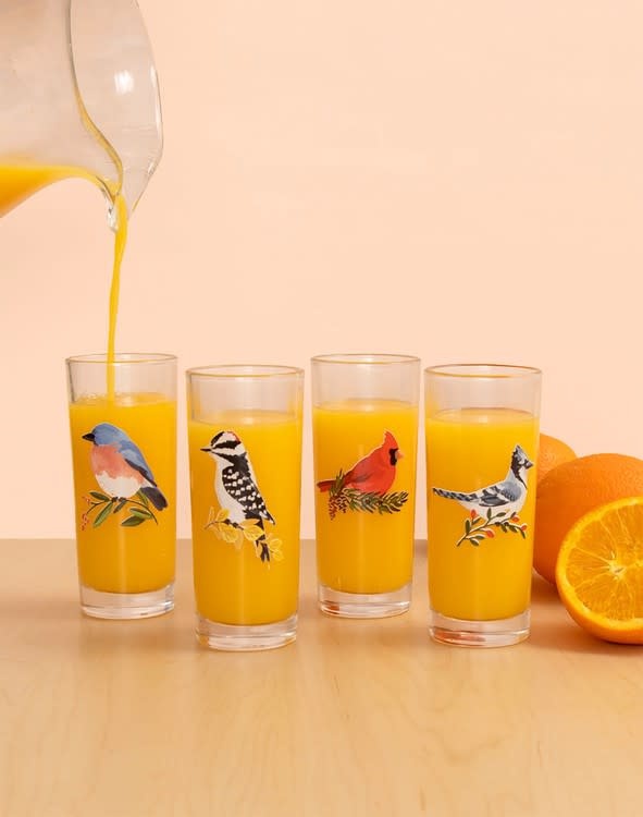 Feathered Friends Bird Juice Glass Centro Garden