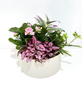 7” Flowering Plant Arrangement in Decatur Pot