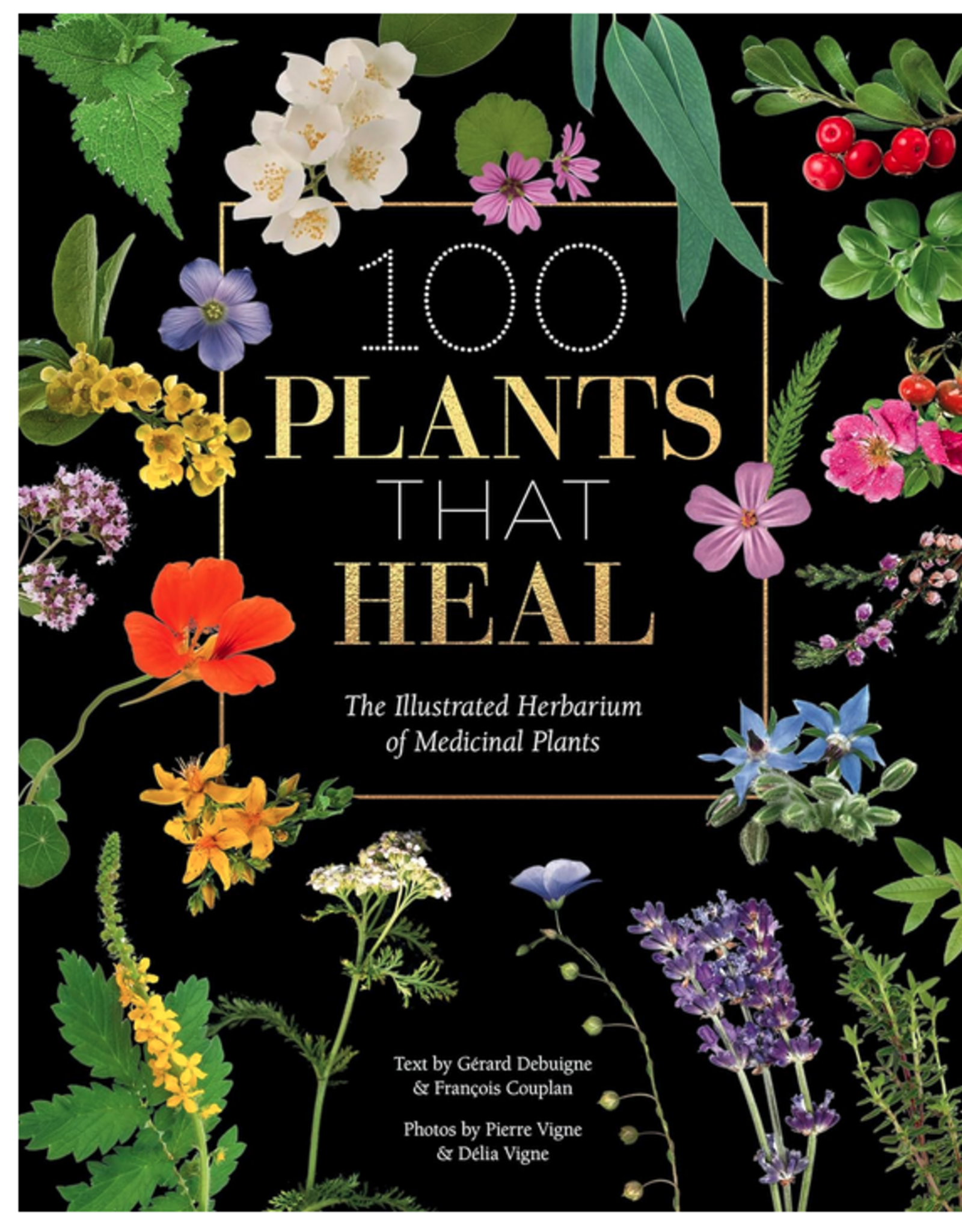 100 Plants That Heal Book