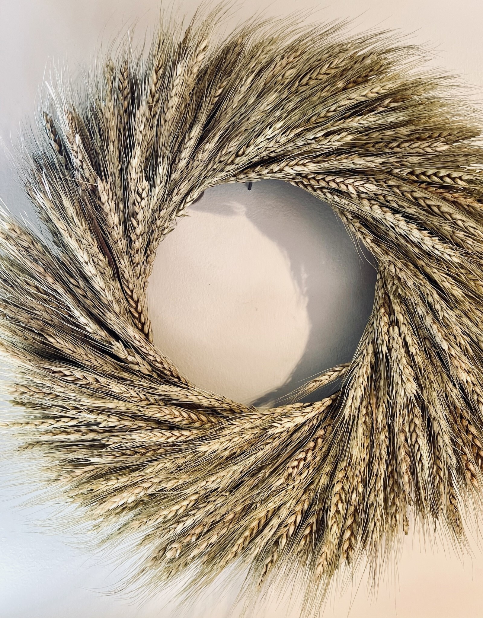 Natural Preserved Wheat Wreath D17"