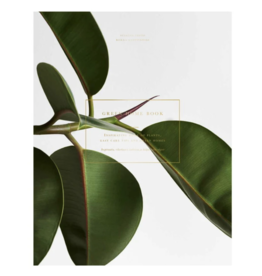 Green Home Book