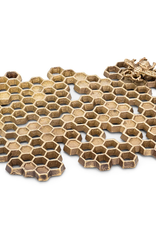 Honeycomb with Bee Trivet