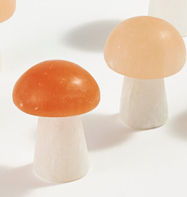 Selenite Mushroom