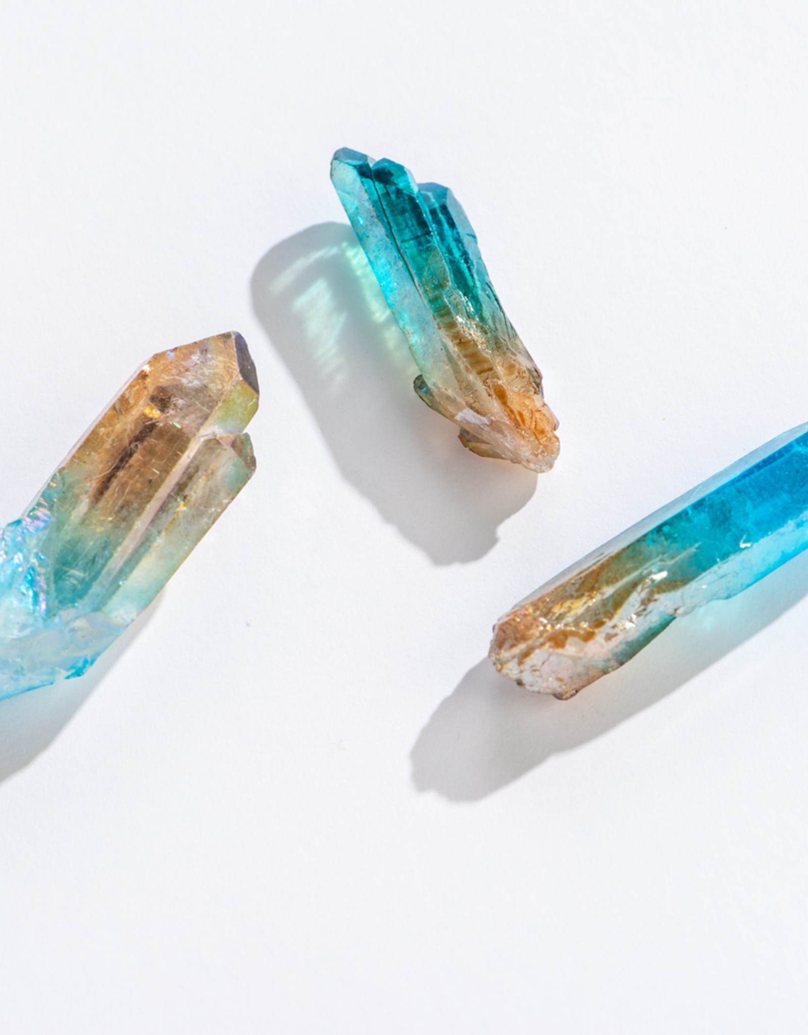 Ombre Point - Assorted Colours