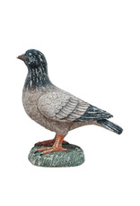 Resin Reproduction Pigeon H6”