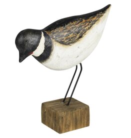 Eddy Bird Pecking W7" H8"