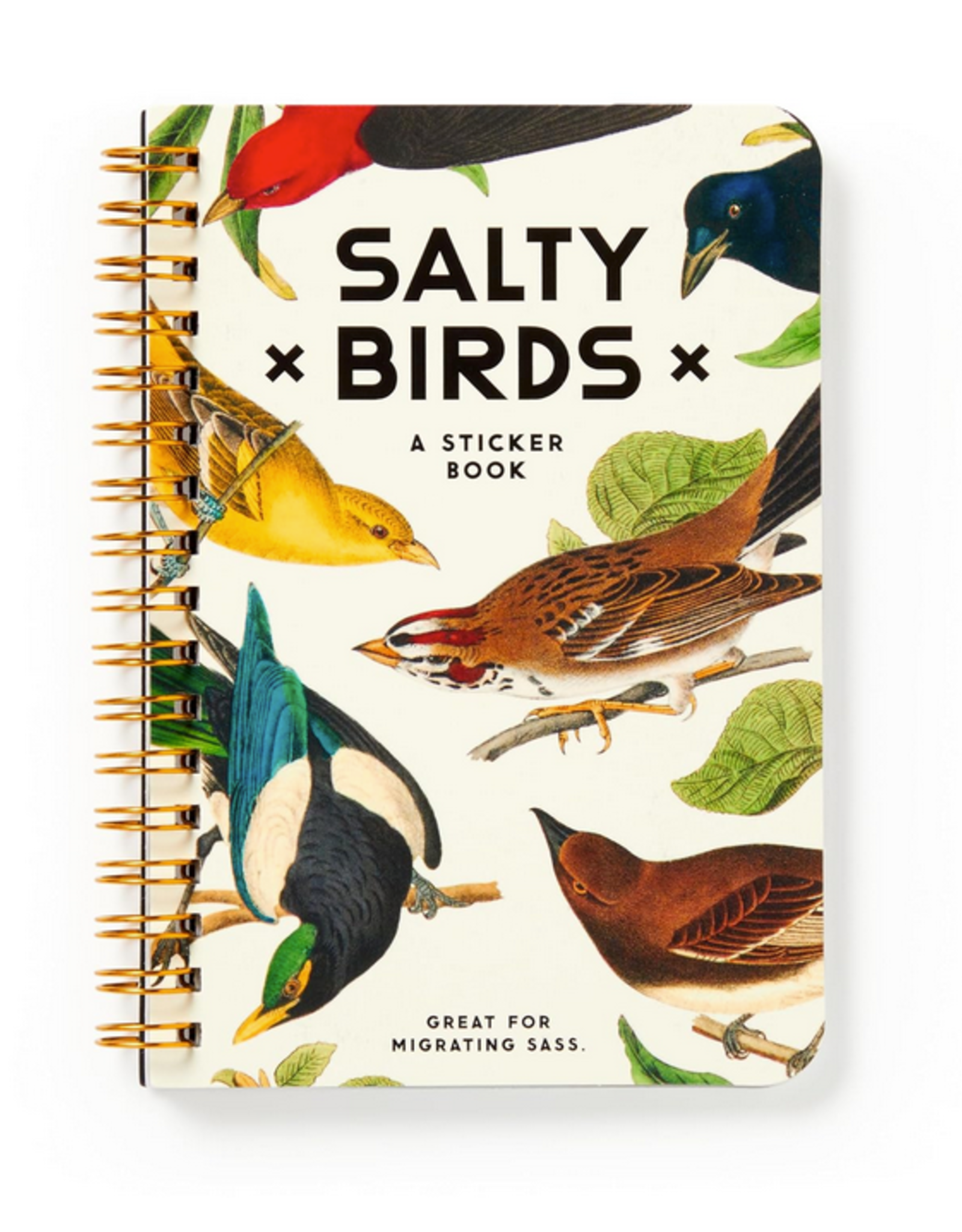 Salty Birds - A Sticker Book
