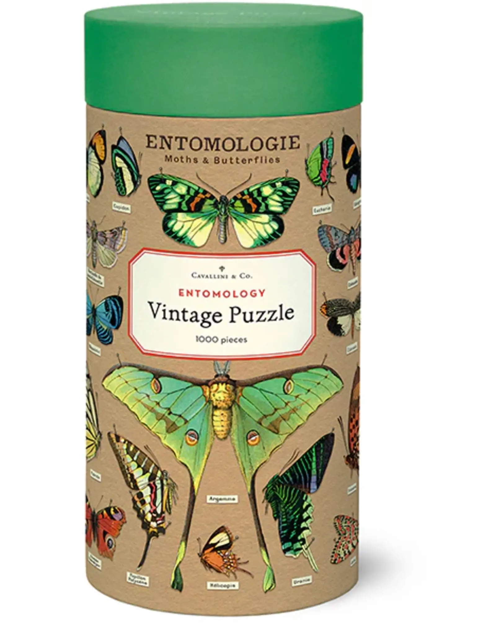 Entomology Puzzle - 1000 Piece