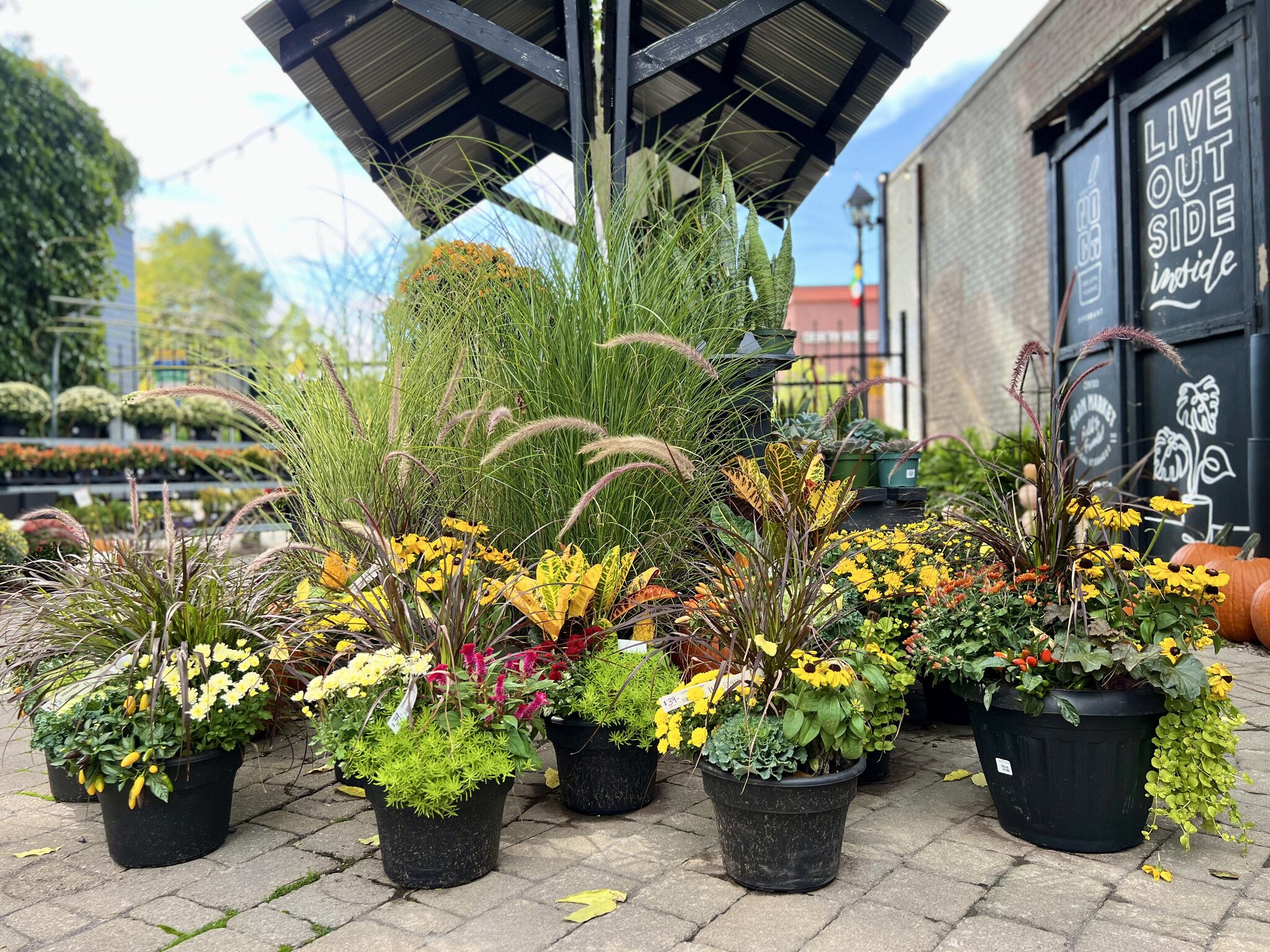 Fall Courtyard