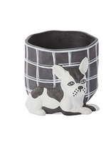 Pampered Pet Pot H3.5"