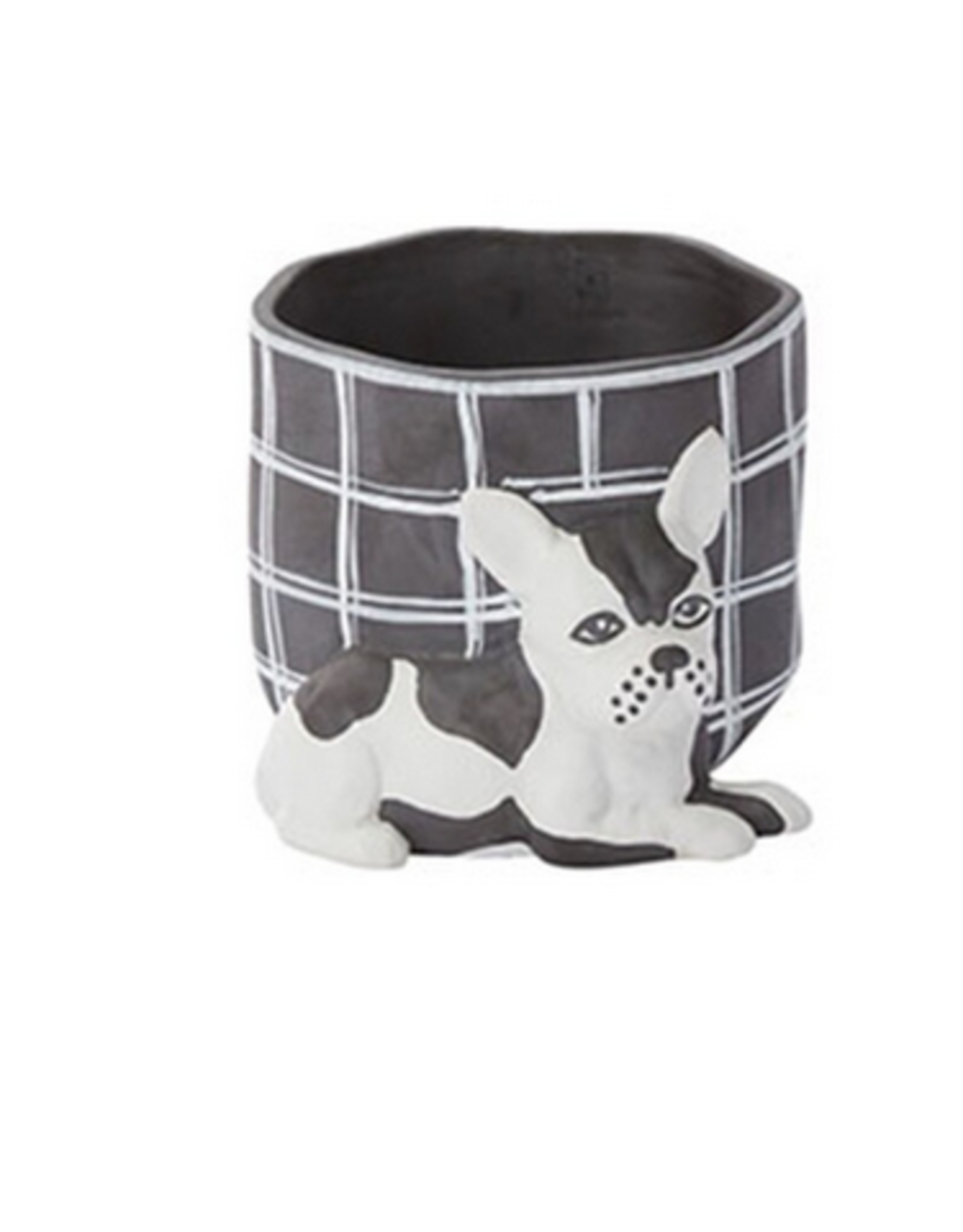 Pampered Pet Pot H3.5"