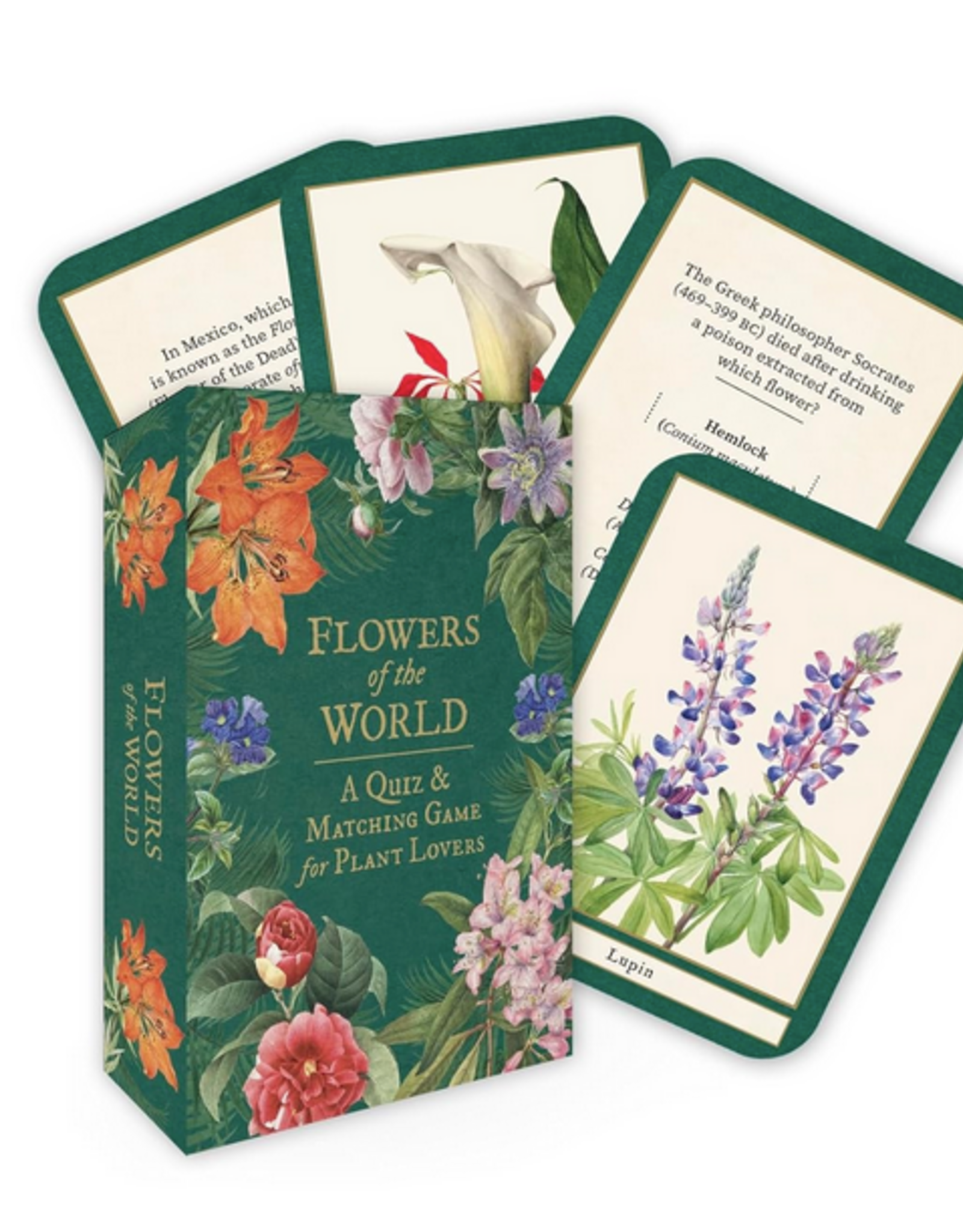 Flowers of the World Trivia Game