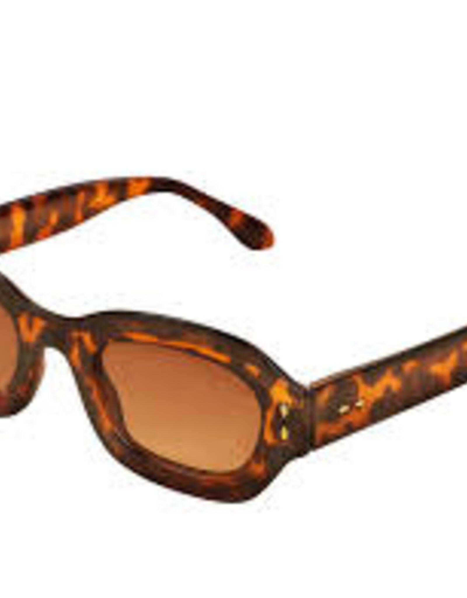 Sunglasses - Honey in Tortoise