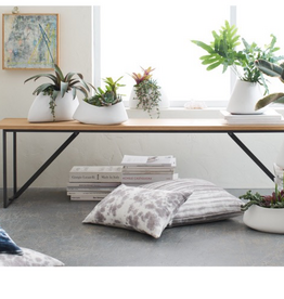 Finlay Oak Bench Reg $549 Now $399