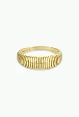 Ridged Ring
