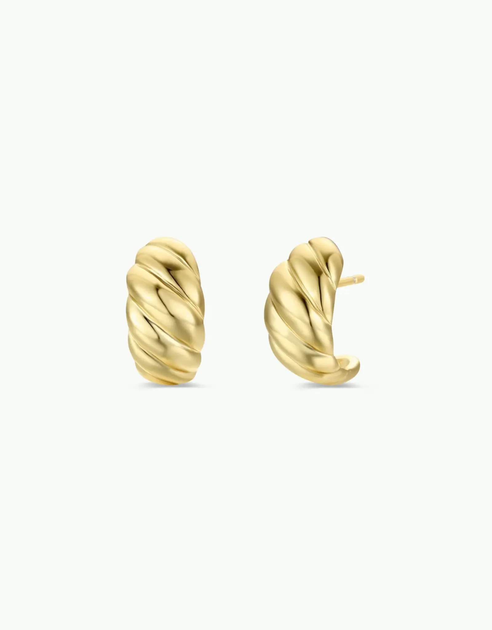 Golden Hoop Earrings - Swirl