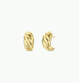 Golden Hoop Earrings - Swirl