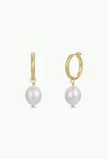 Gold Pearl Drop Earrings