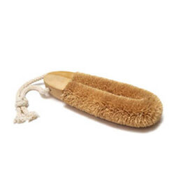 Coconut Foot Brush