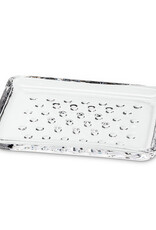 Simple Dotted Glass Rectangular Soap Dish L5"