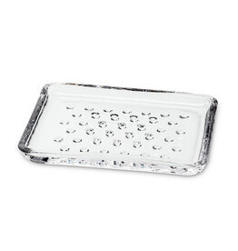 Simple Dotted Glass Rectangular Soap Dish L5"