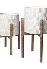 Off White Groot Plant Stand with Wooden Base
