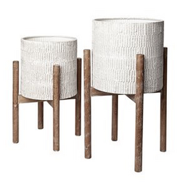 Off White Groot Plant Stand with Wooden Base