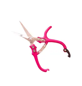 Hibiscus Pruning Shears