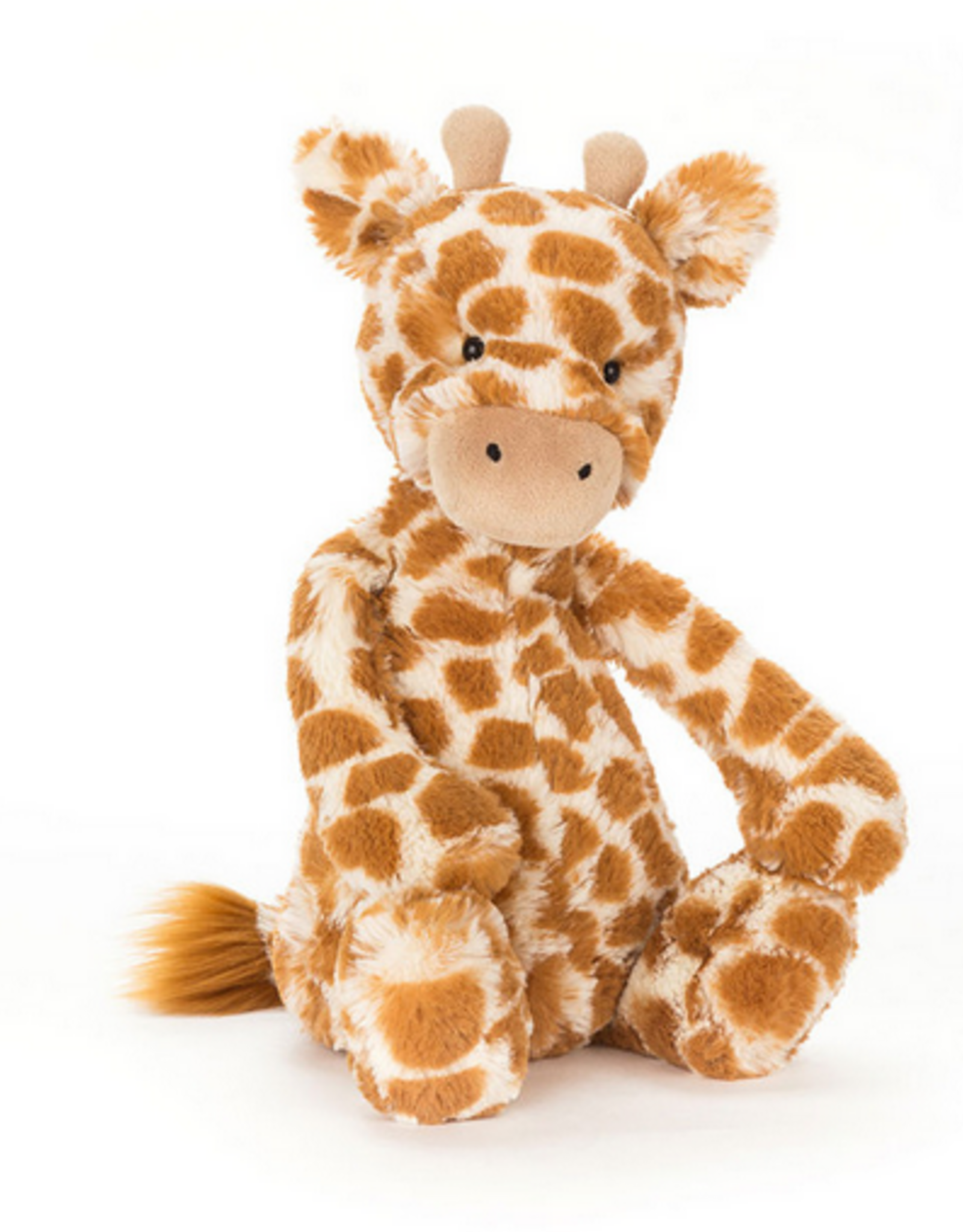 Bashful Giraffe