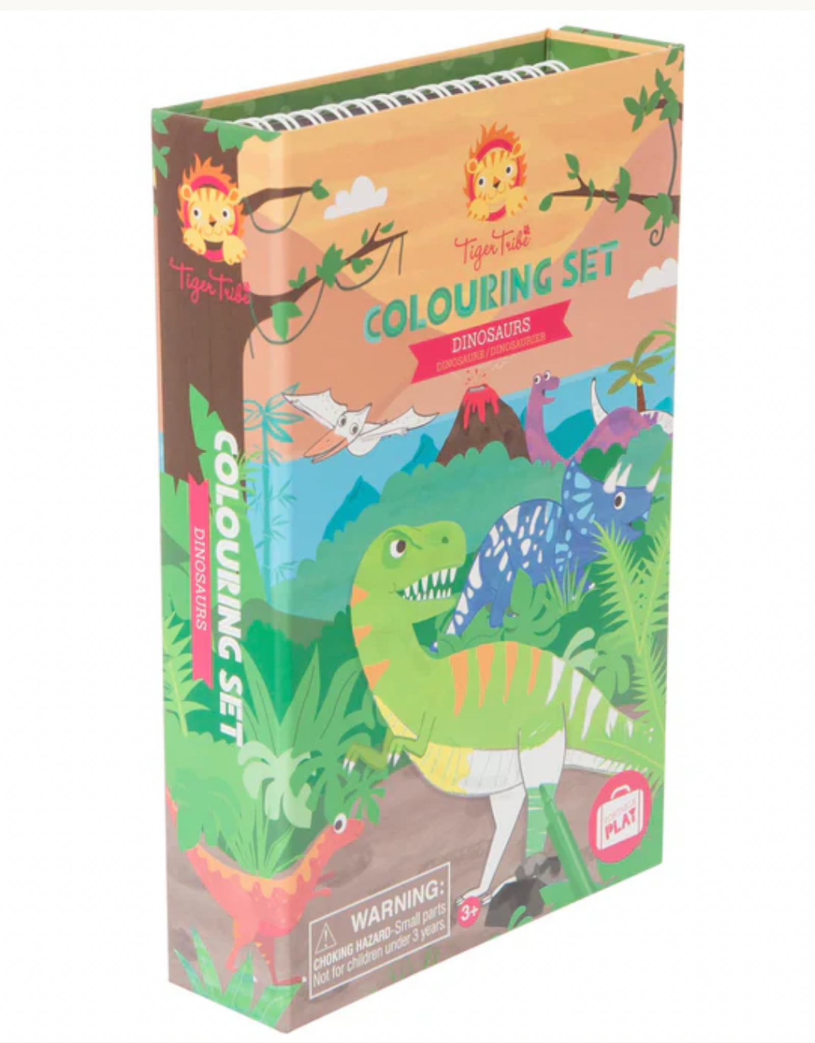 Dinosaur Colouring Set