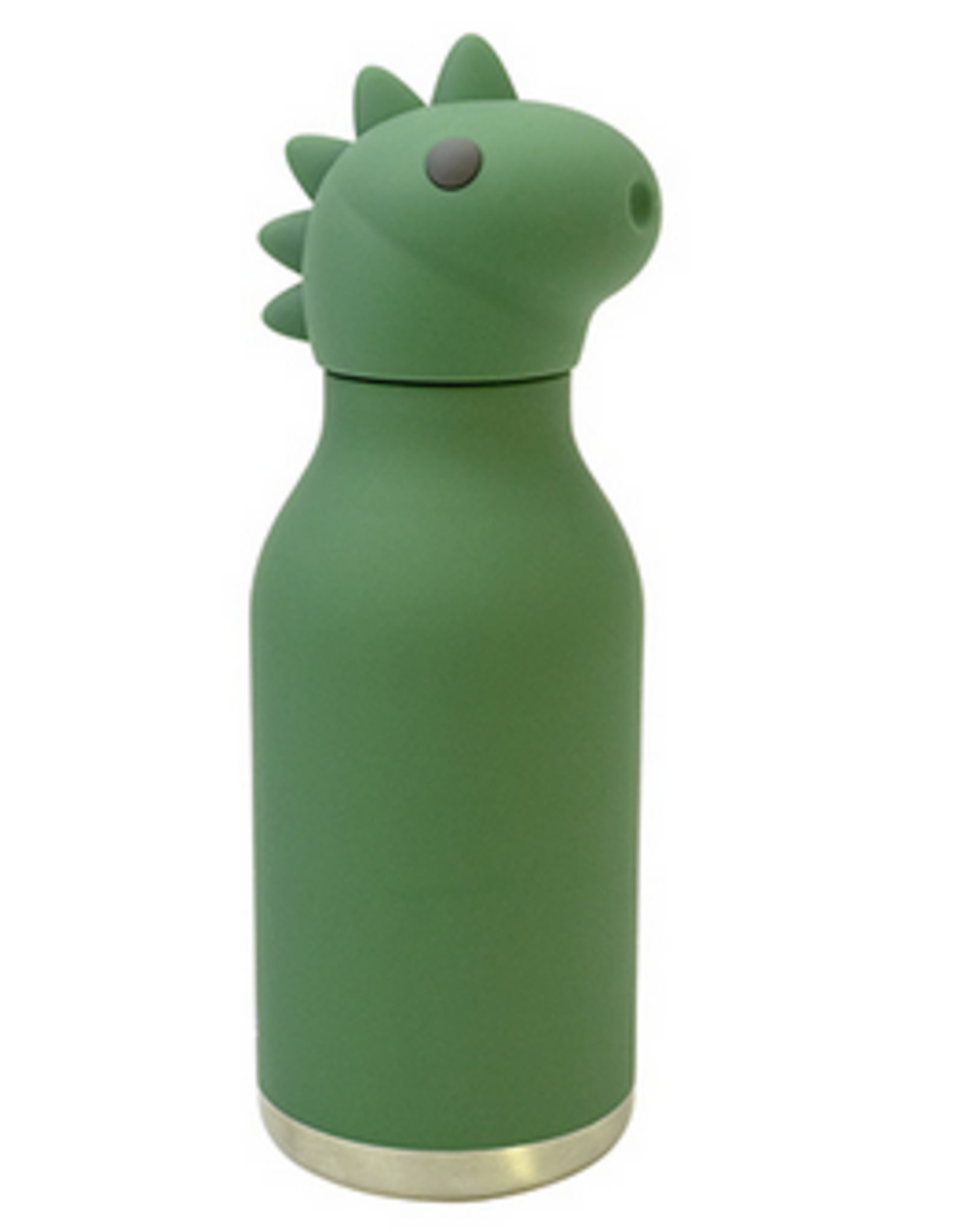 Dinosaur Water Bottle