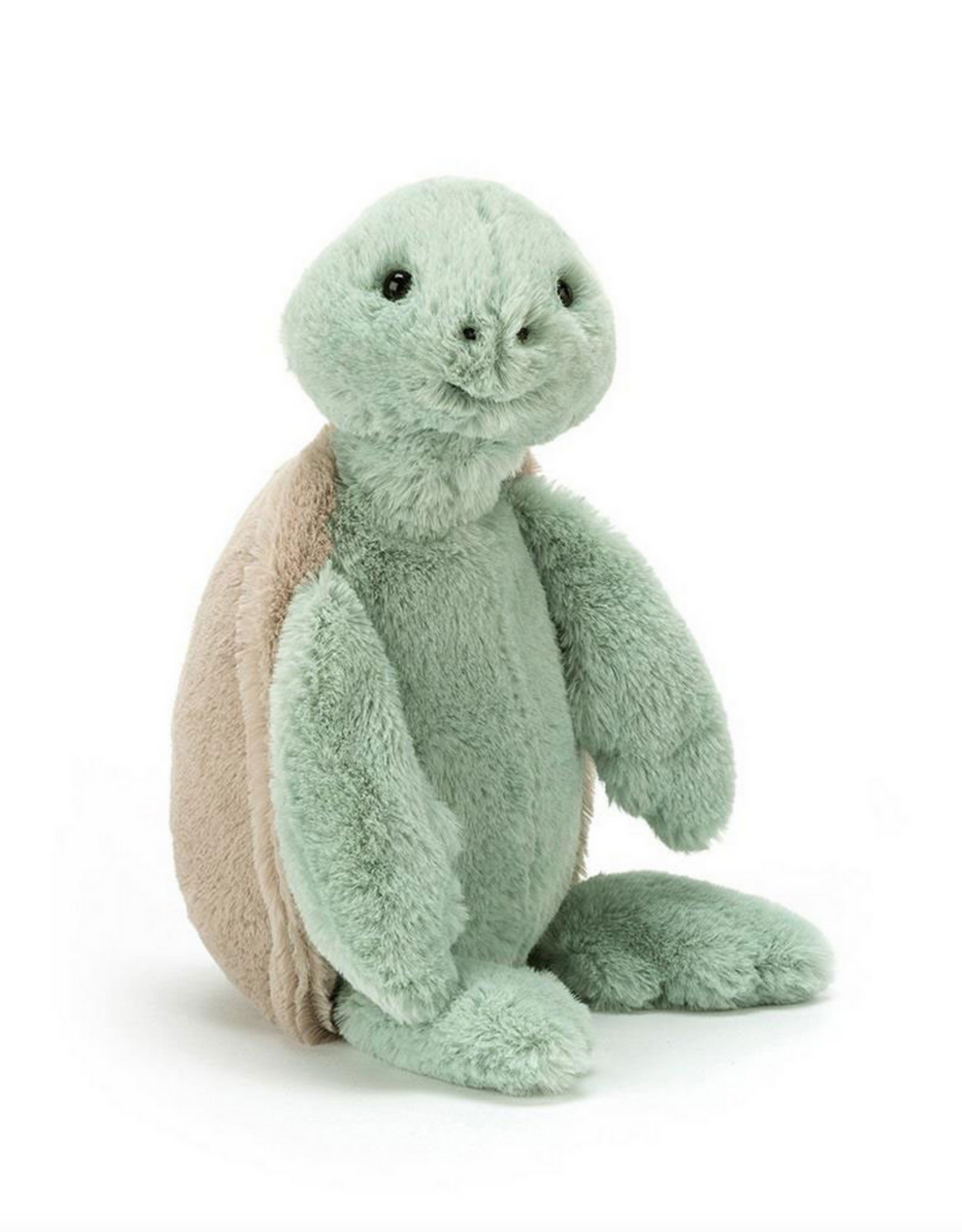 Bashful Turtle Original