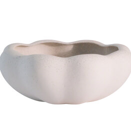 Pond Bowl D17"