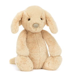 Bashful Luxe Puppy Orlando