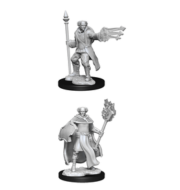 Wizards of the Coast DND Nolzur's Marvelous Minis Cleric/Wizard Male