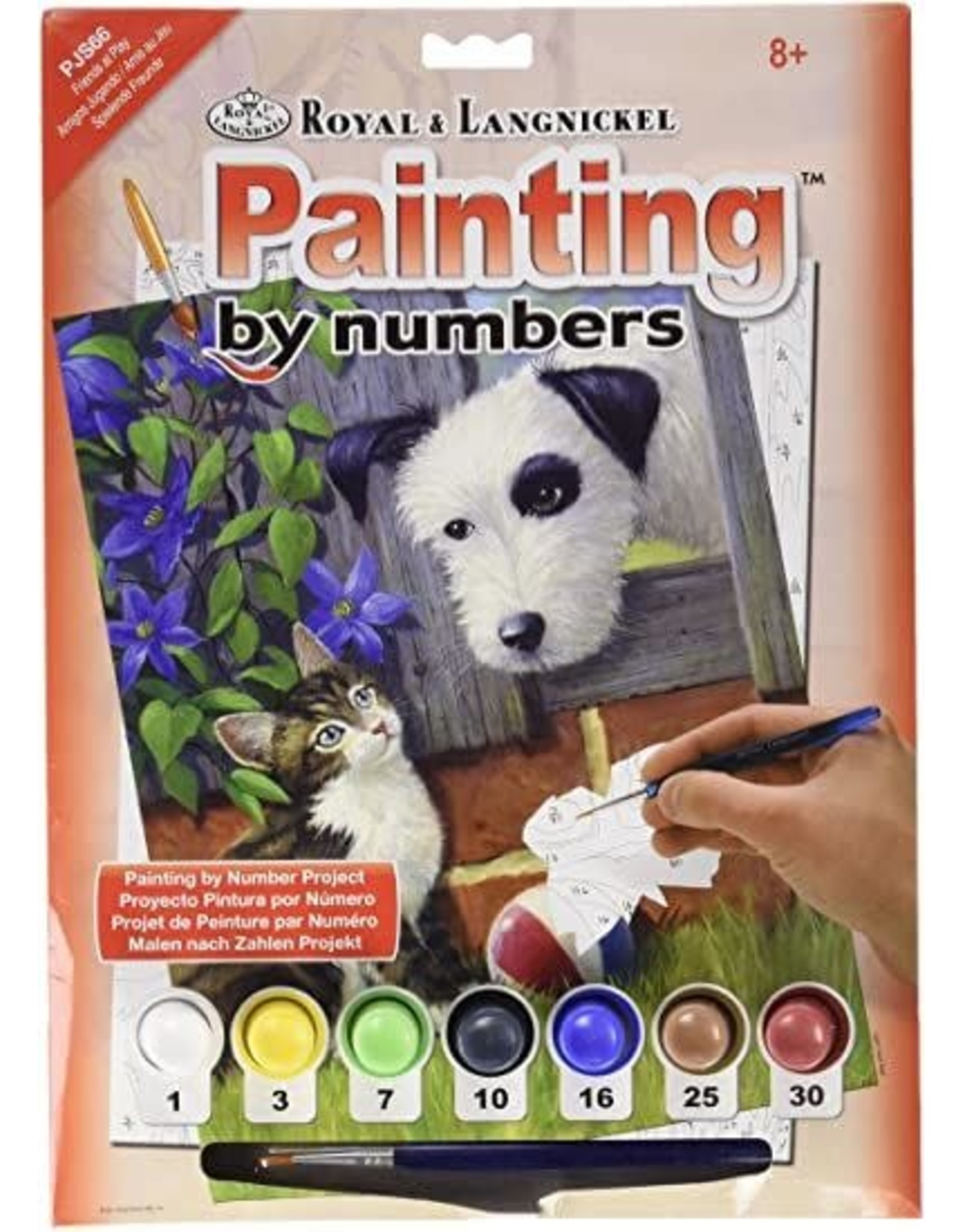 Royal and Langnickle Paint by Numbers -