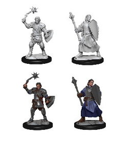 WizKids DND Critical Role Human Clovis Concord Cleric