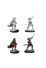 WizKids Critical Role Minis Half-Elf Xhorhas Paladin