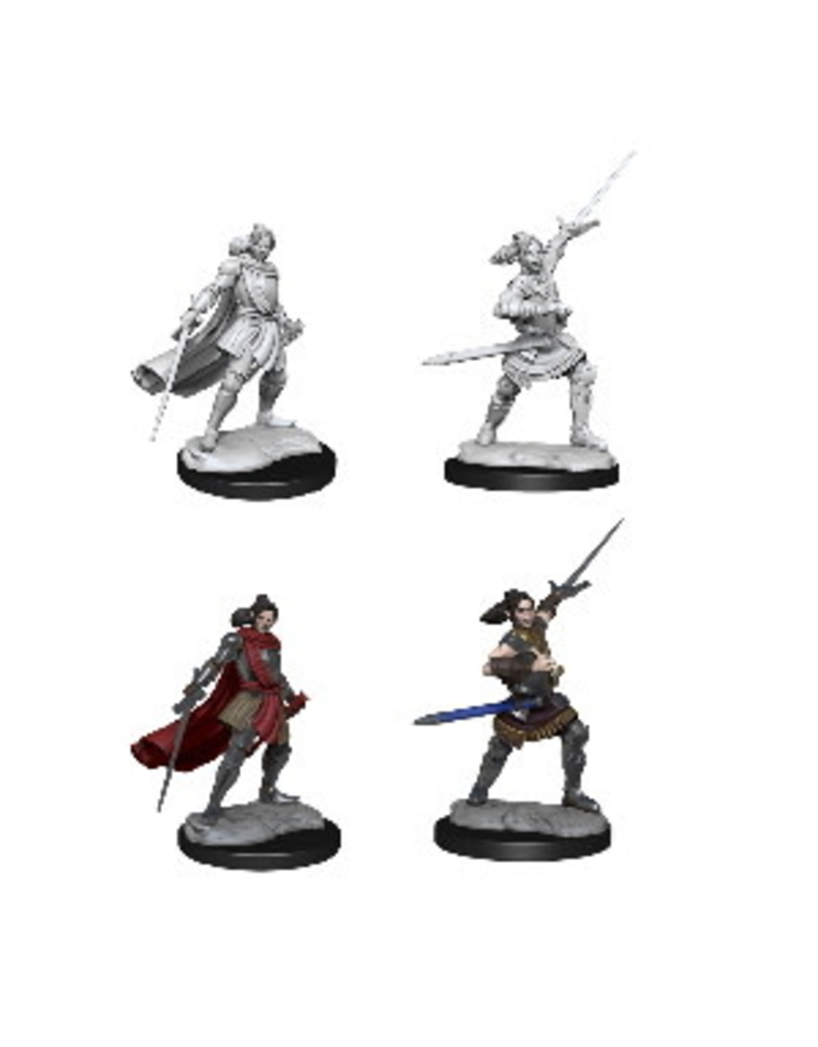 WizKids Critical Role Minis Half-Elf Xhorhas Paladin