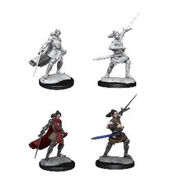 WizKids Critical Role Minis Half-Elf Xhorhas Paladin