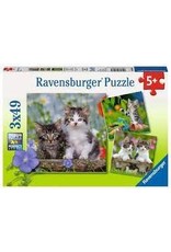 Ravensburger Puzzle: Cuddly Kittens 3x49pc