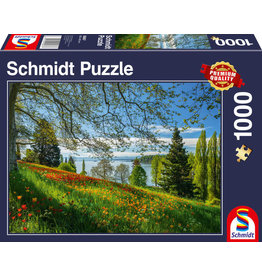 Schmidt Schmidt Puzzle: Tulips Flowering, Fruhlingsallee, Mainau Island 1000 Pcs