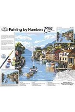 Pro Paint by Numbers